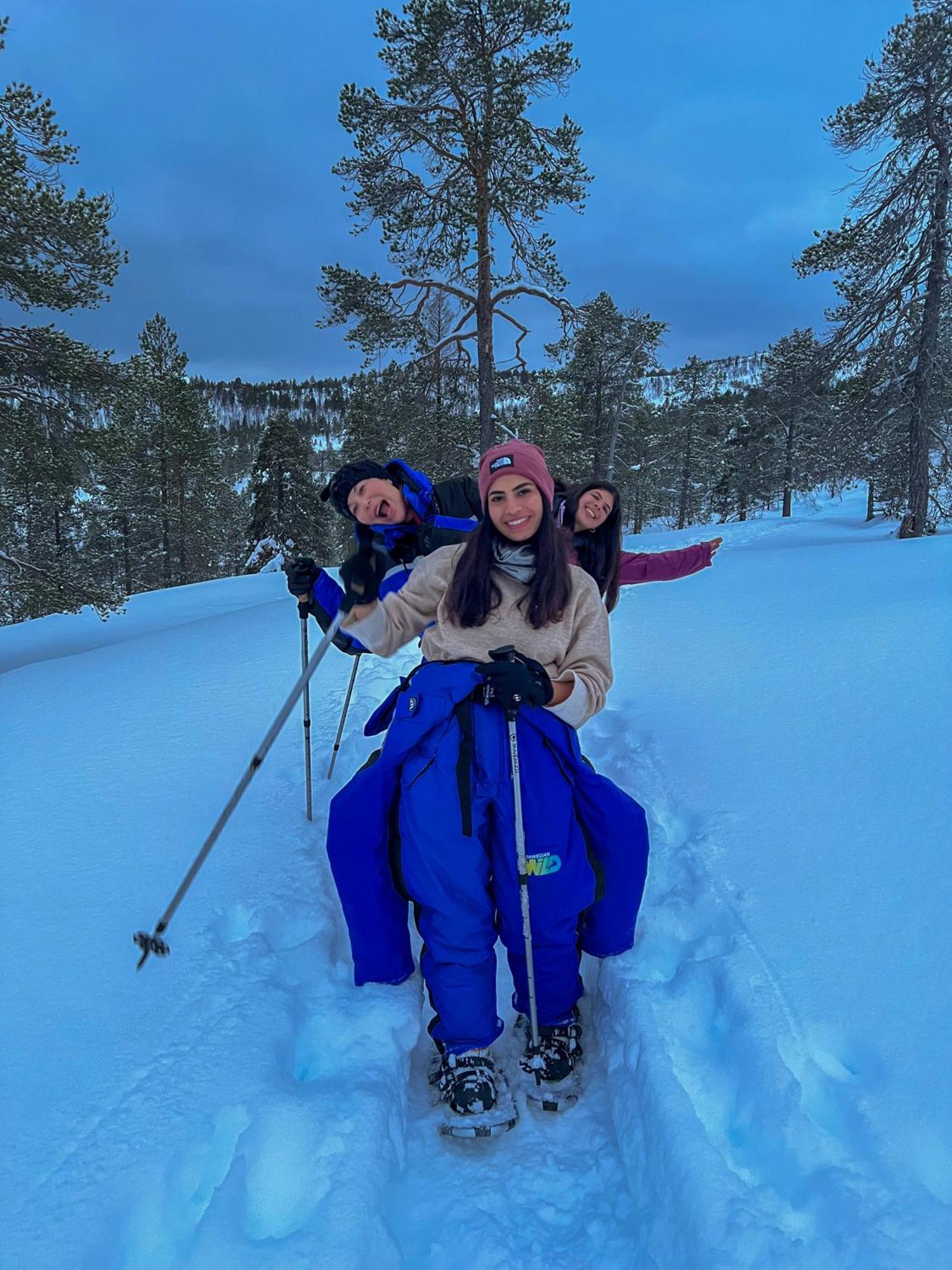 Вилла Norwegian Wild Brygghaugen Экстерьер фото